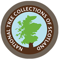 National Tree Collections of Scotland logo