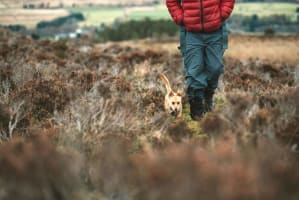 no_date_hiking_with_dog_kirkmichael_photos_by_zoe 
