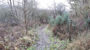 Provost Walk phase 3 section of muddy path before upgrade