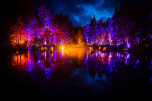 The Enchanted Forest: Photo courtesy of Enchanted Forest / Angus Forbes Photography