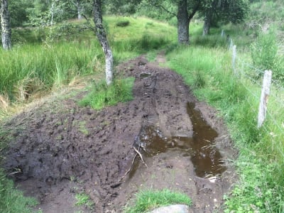 Cateran Trail at Loch Cottage north of Kirkmichael before repairs