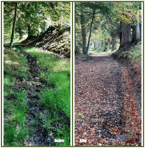 Murthly Sawmill path improvement works - before and after