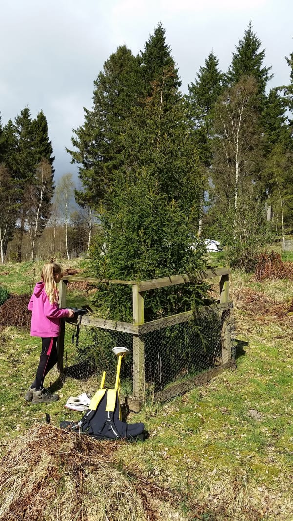 Girl recording tree growth