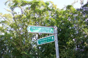 Bridge of Cally and Blairgowrie signposts