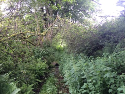Cateran Mini Trail at Kirkmichael before works