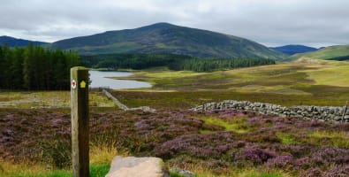 Supporting the Cateran Trail scheme