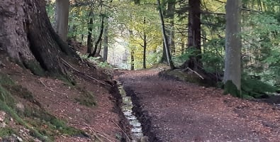 Murthly Sawmill woodland path gets improved access for visitors